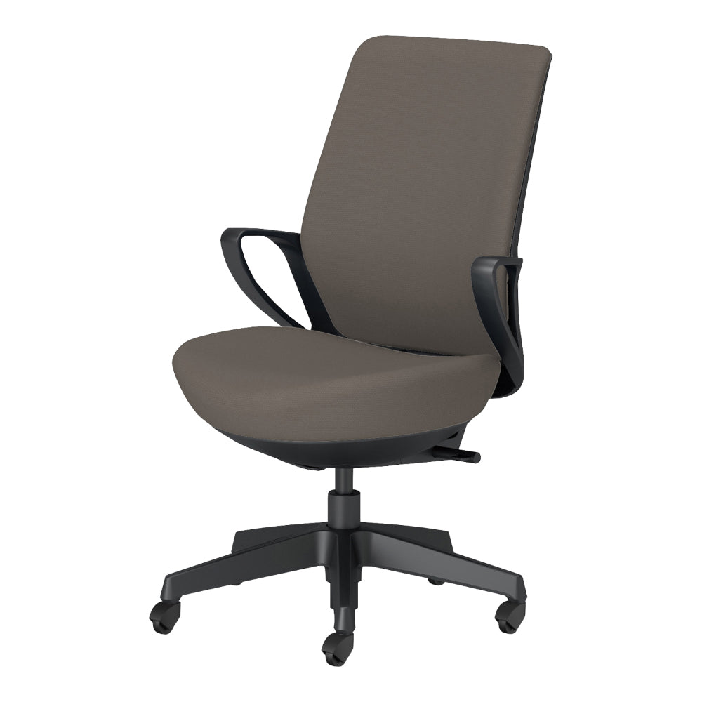 picora livina｜C10-B12CG-BKG9M61