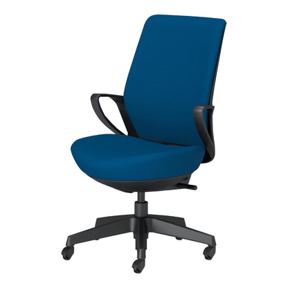 picora livina｜C10-B12CG-BKG9T61