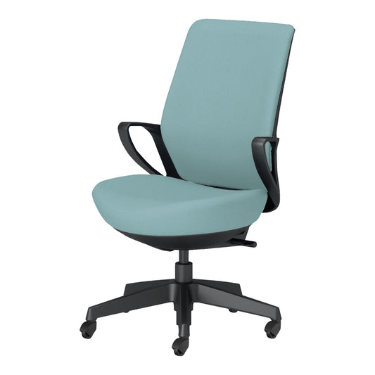 picora livina｜C10-B12CG-BKG9391