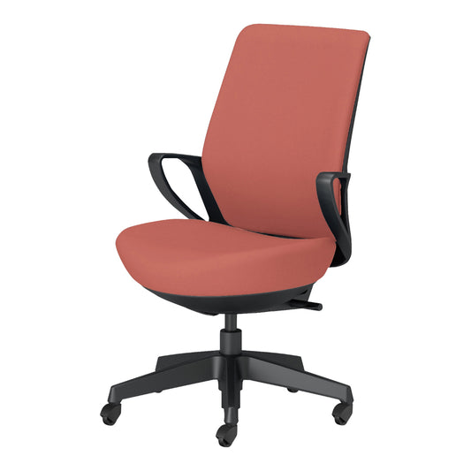 picora livina｜C10-B12CG-BKG90T1