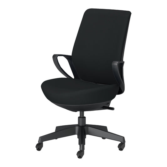 picora livina｜C10-B12CG-BKG9B61