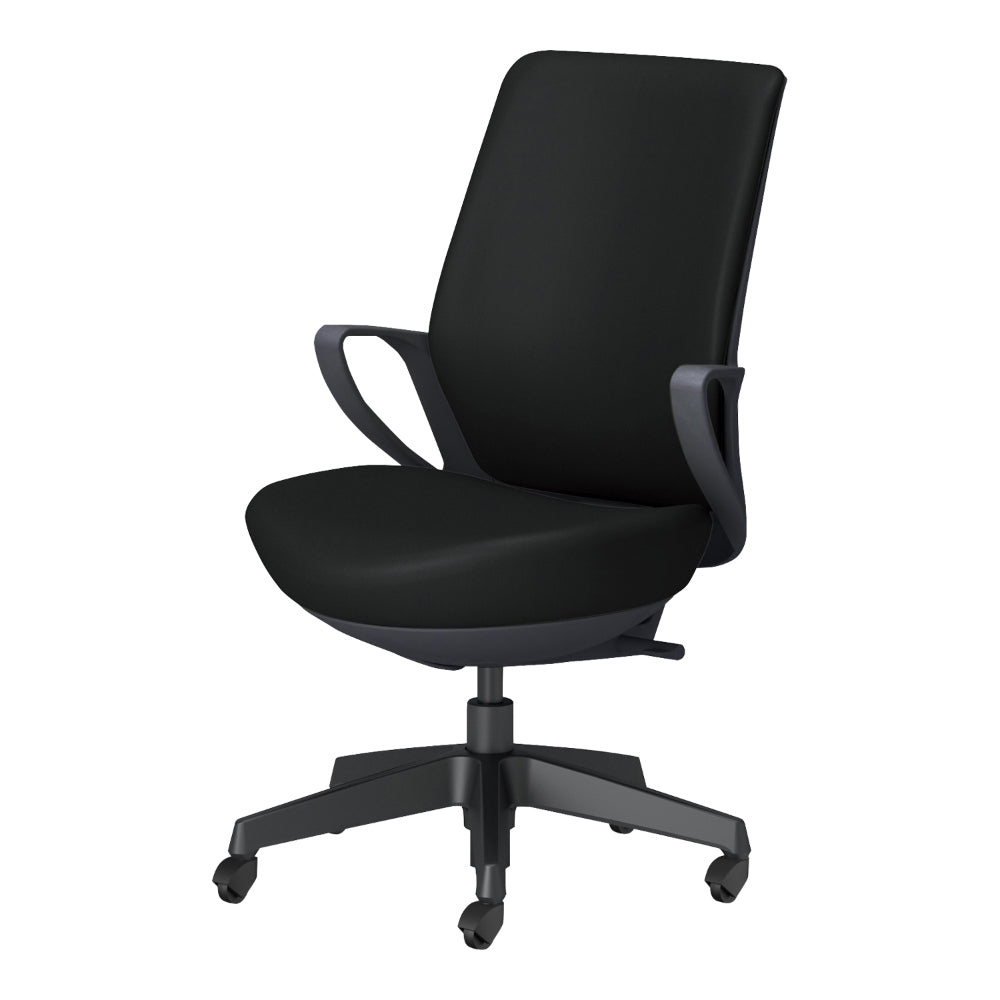 picora livina｜C10-B12SG-BKVZE61