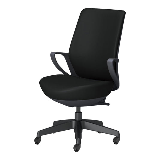 picora livina｜C10-B12SG-BKVZE61