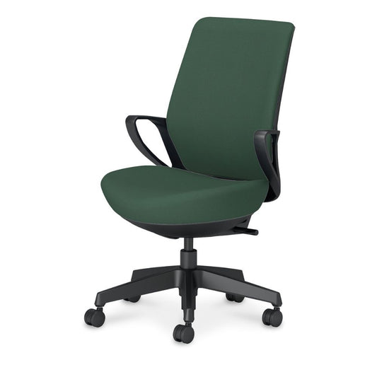picora livina｜C10-B12CW-BKG9Q61