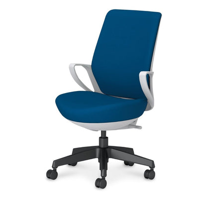 picora livina｜C10-B12CW-E1G9T61