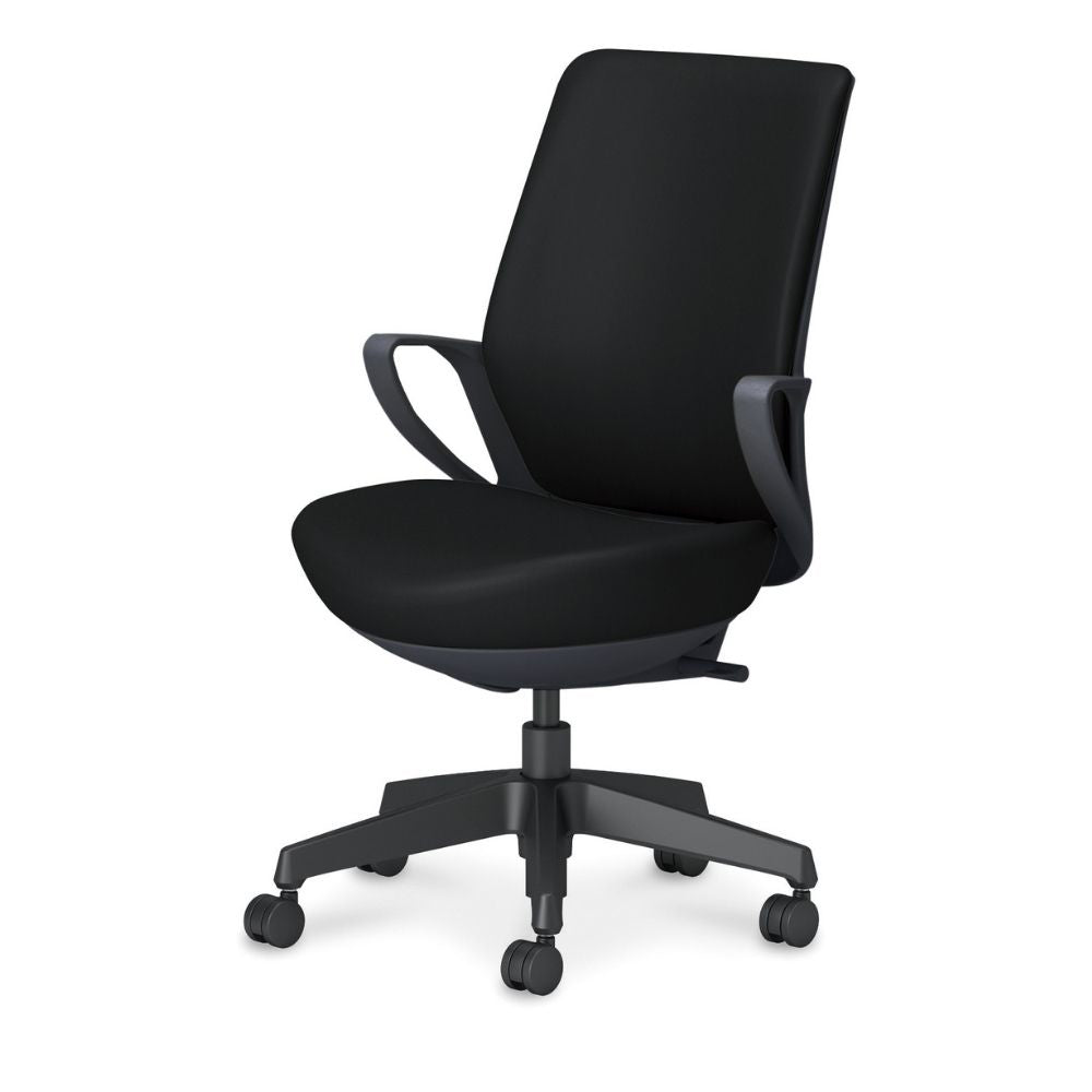 picora livina｜C10-B12SW-BKVZE61