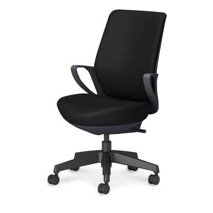 picora livina｜C10-B12SW-BKVZE61