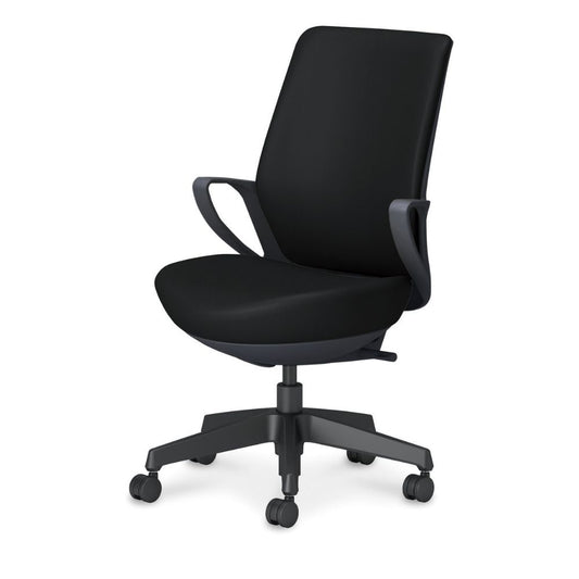 picora livina｜C10-B12SW-BKVZE61