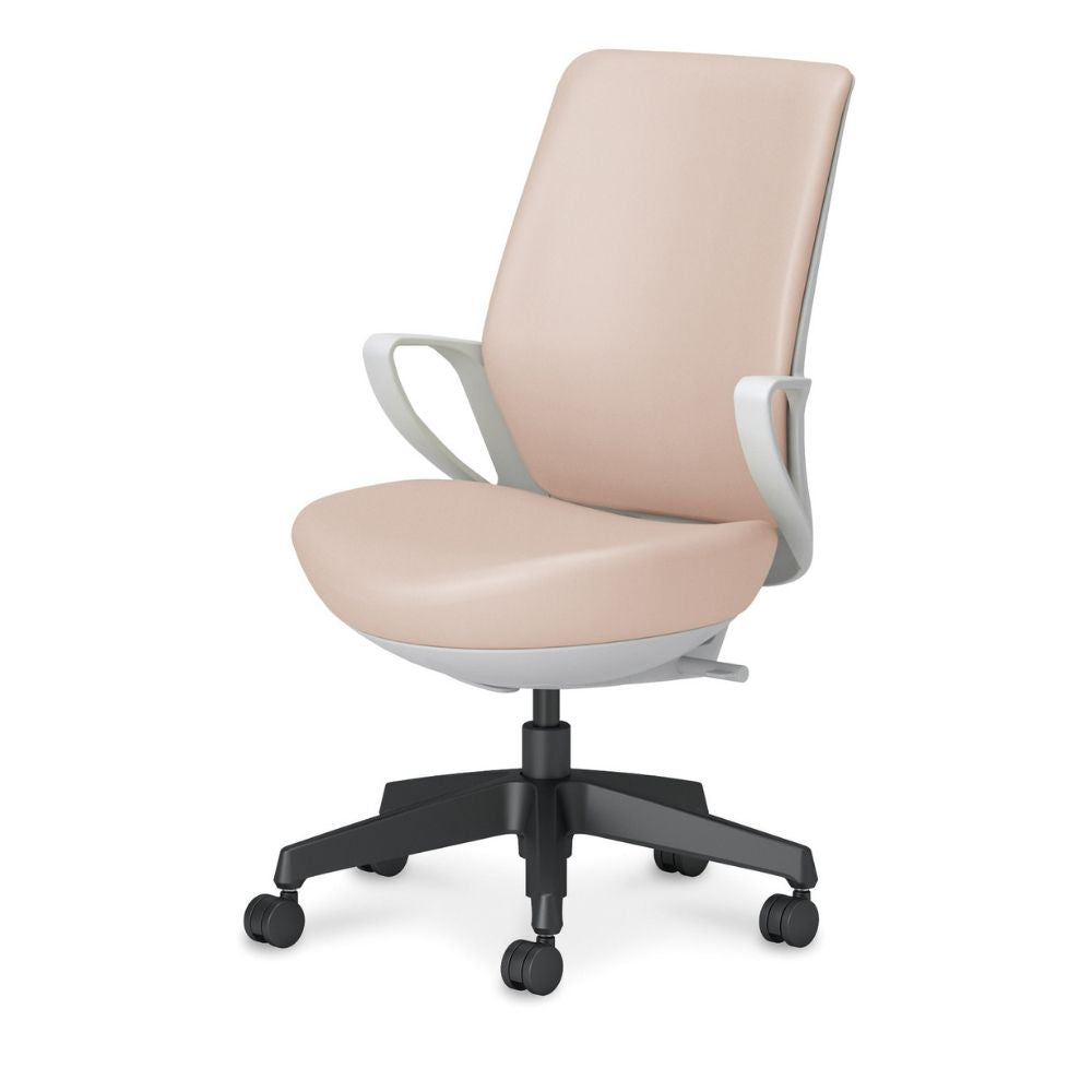 picora livina｜C10-B12SW-E1VZMD1