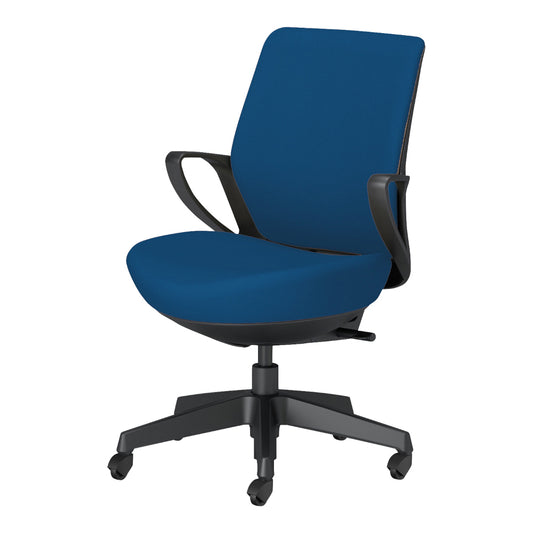 picora livina｜C10-B11CG-BKG9T61