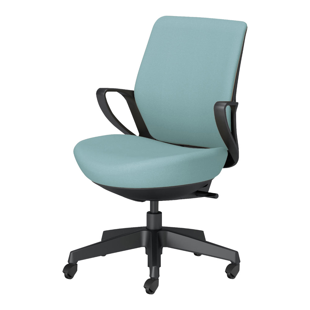 picora livina｜C10-B11CG-BKG9391