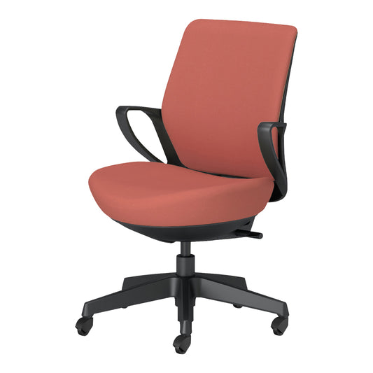 picora livina｜C10-B11CG-BKG90T1