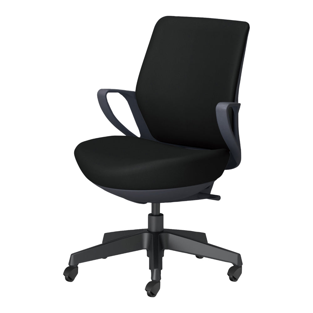picora livina｜C10-B11SG-BKVZE61