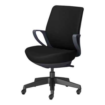 picora livina｜C10-B11SG-BKVZE61