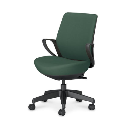 picora livina｜C10-B11CW-BKG9Q61