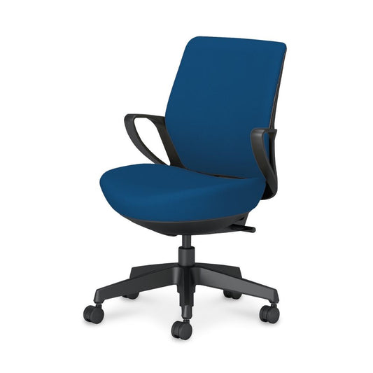 picora livina｜C10-B11CW-BKG9T61