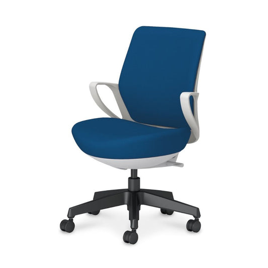 picora livina｜C10-B11CW-E1G9T61