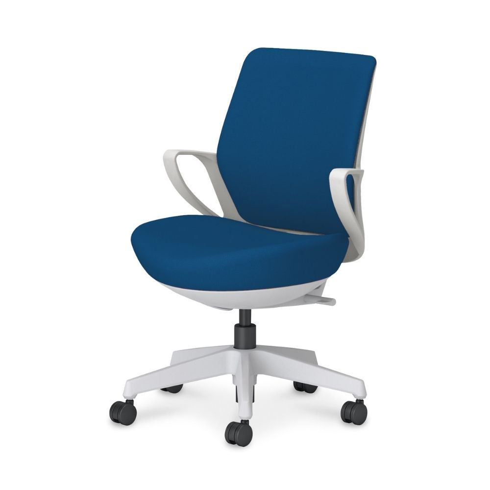 picora livina｜C10-W11CW-E1G9T61