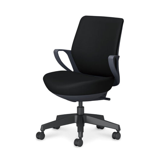 picora livina｜C10-B11SW-BKVZE61