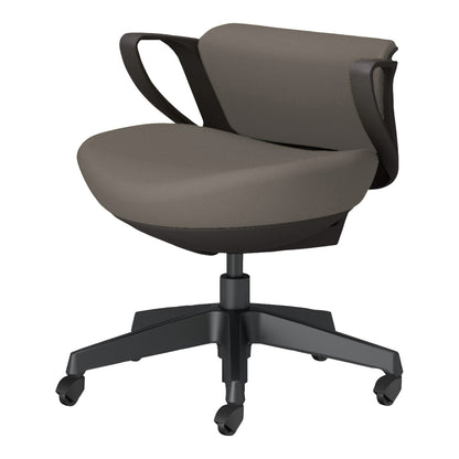 picora livina｜C10-B19CG-BKG9M61