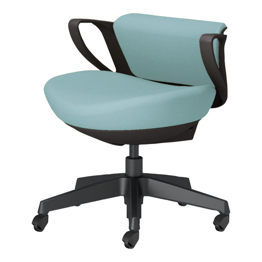 picora livina｜C10-B19CG-BKG9391