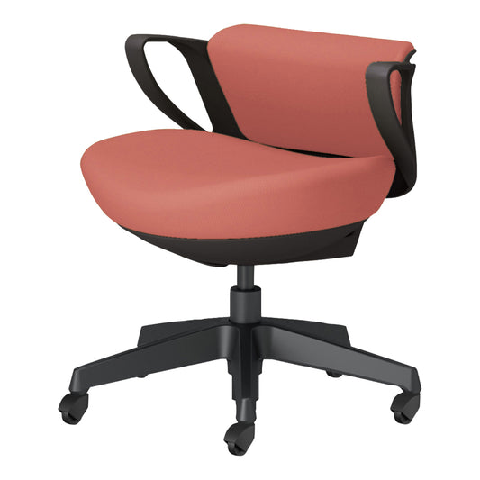 picora livina｜C10-B19CG-BKG90T1