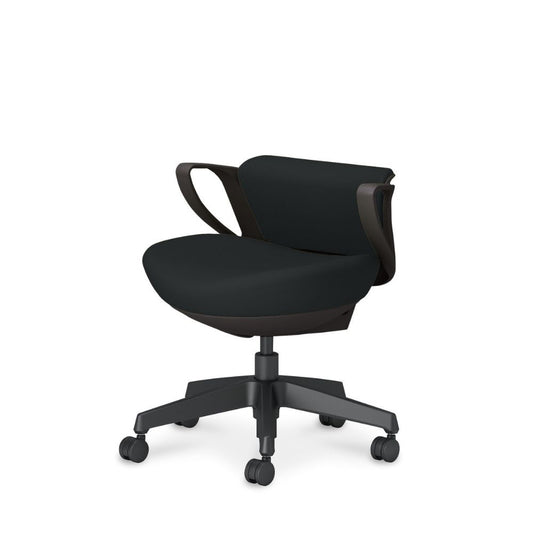 picora livina｜C10-B19CW-BKG9B61