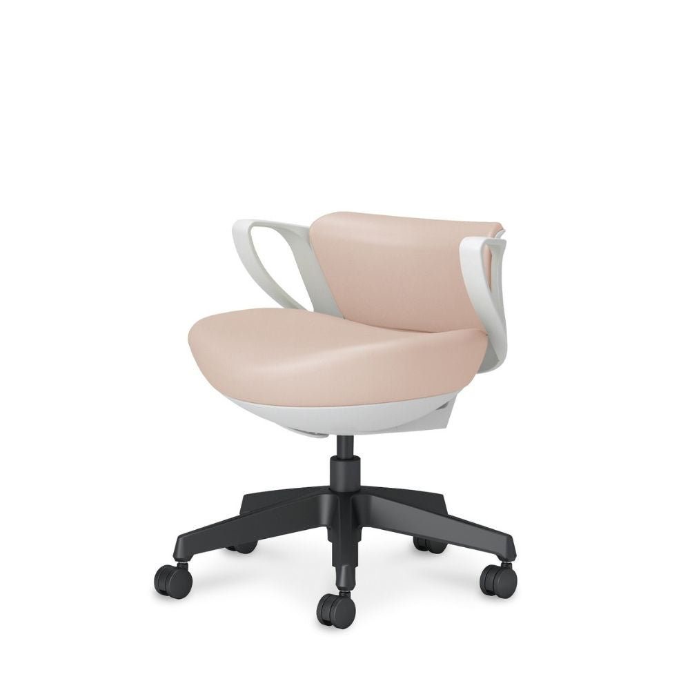 picora livina｜C10-B19SW-E1VZMD1