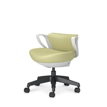 picora livina｜C10-B19SW-E1VZL11